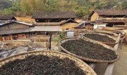 郑州保合寨爆料案件最新,真相揭开，疑云散去